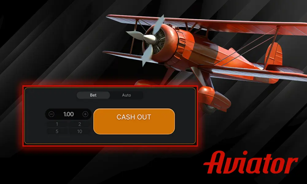 Information about Cashout Button in Aviator